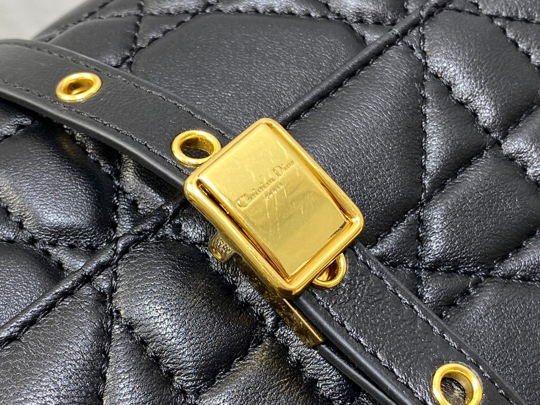 Caro Quilted Crossbody Bag|20x13x7cm Calfskin|Gold Chain Strap|Day-to-Night Versatile