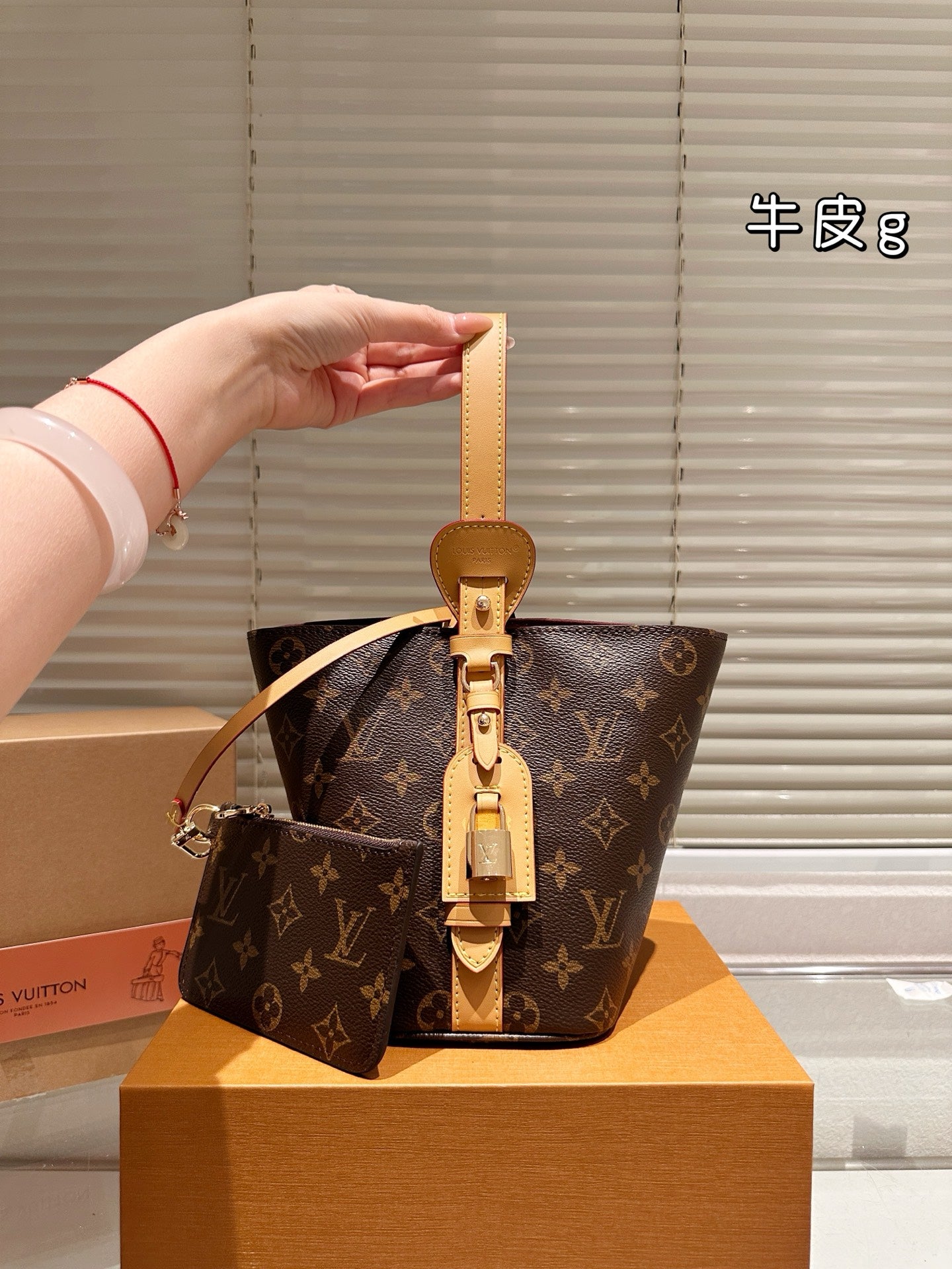 Louis Vuitton Monogram Cowhide Leather Bucket Bag with Coin Pouch Luxury Designer Handbag LV All In BB Monogram Canvas Includes Coin Pouch