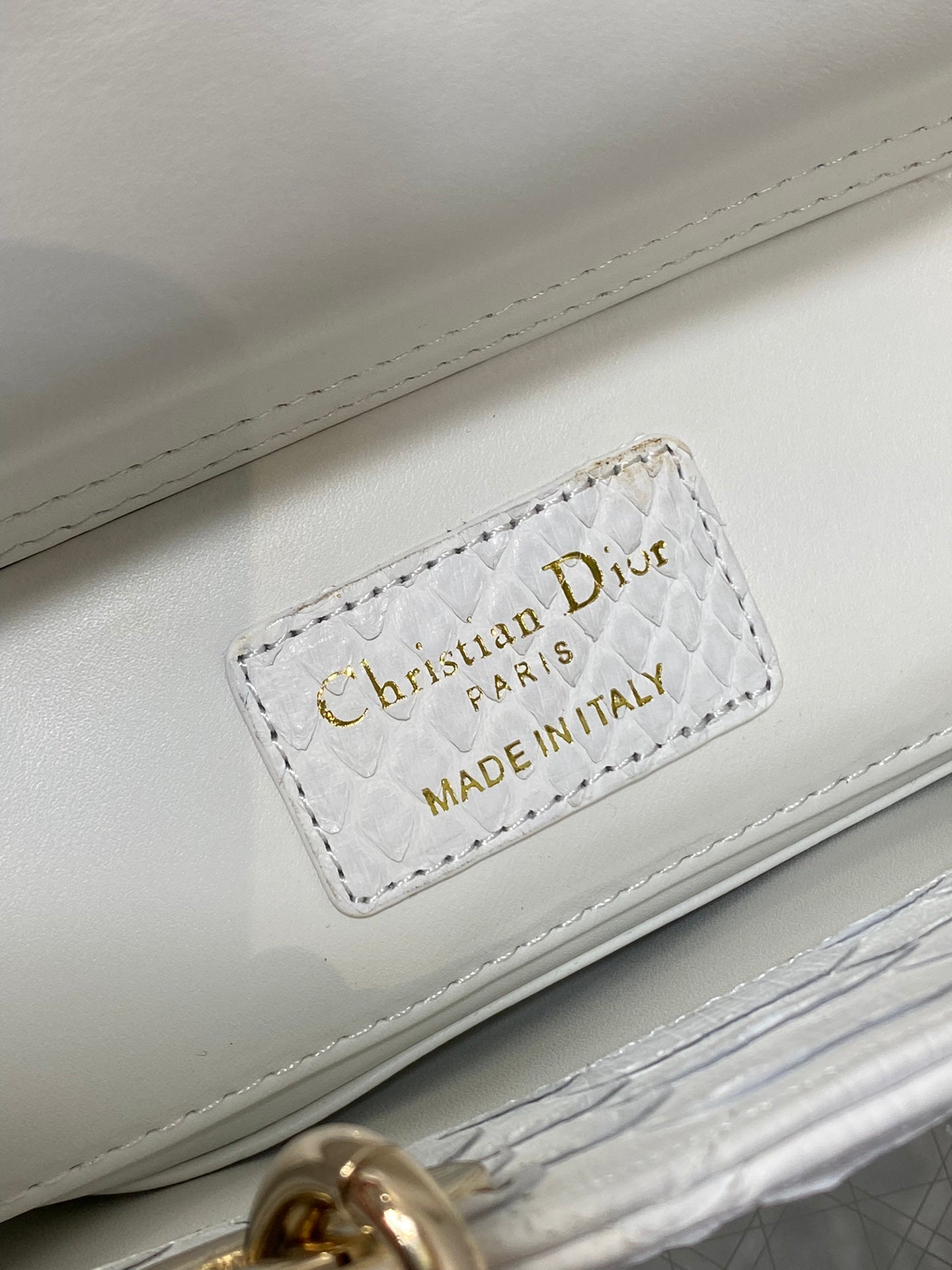 Dior Oblique 22cm Rare Python Skin Bag | Unique Natural Grain & Full Set