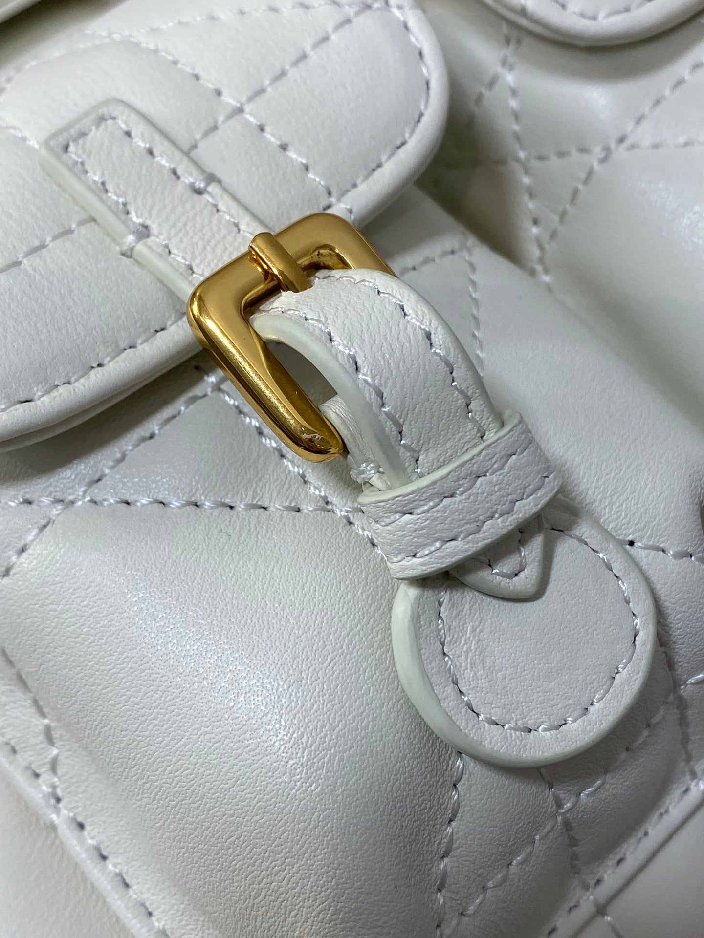 Caro Quilted Lambskin Backpack - Autumn Winter Collection with Antique Gold Handle & Drawstring Closure (23cm Dual-Pocket Knapsack)