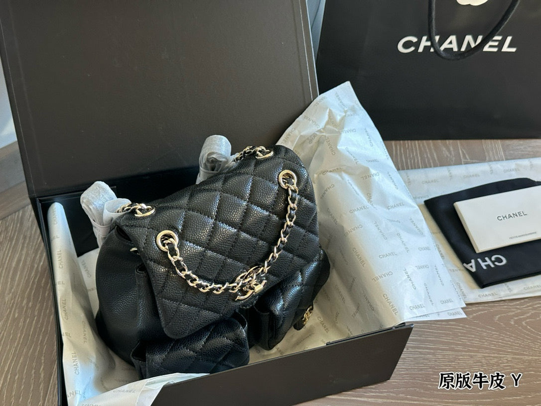 Chanel Duma "Frog" Backpack | Dual-Pocket Cute Design | Adjustable Chain/Leather Strap | 21×22cm Medium Size