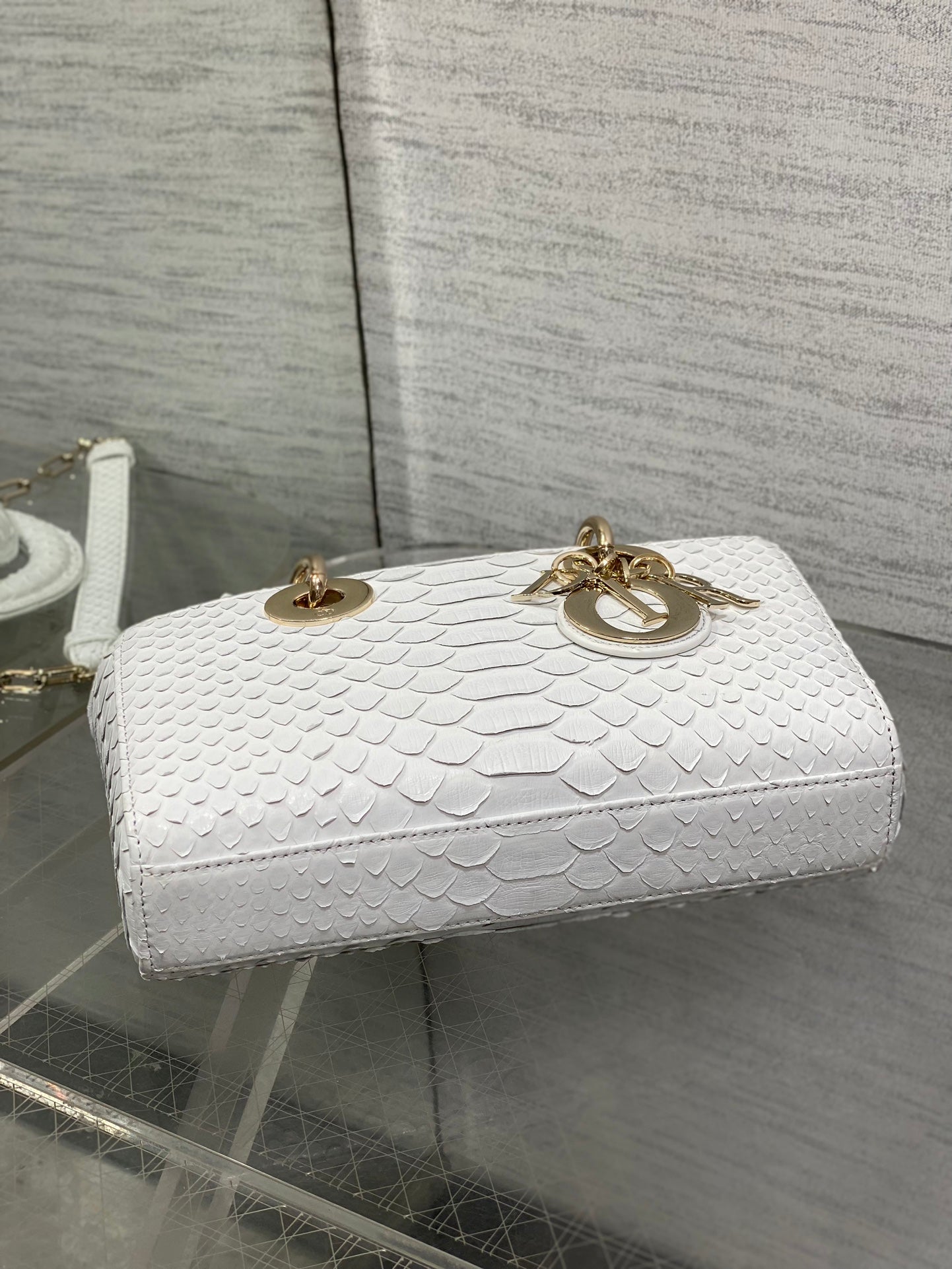 Dior Oblique 22cm Rare Python Skin Bag | Unique Natural Grain & Full Set