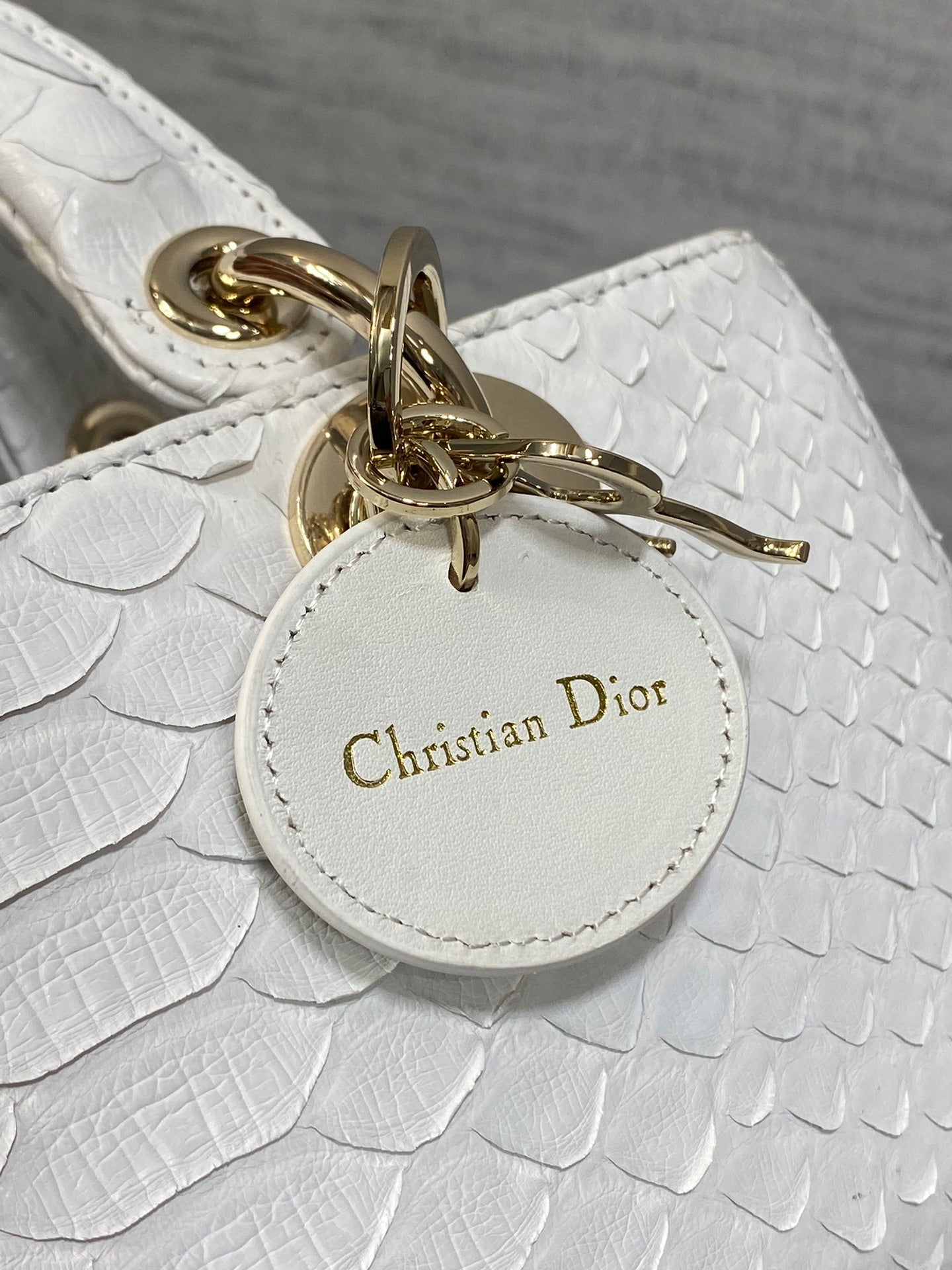Dior Oblique 22cm Rare Python Skin Bag | Unique Natural Grain & Full Set